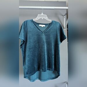 LOFT Velvet Green Blue Top